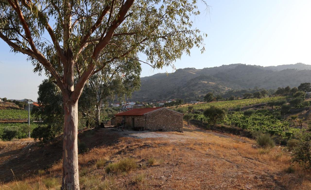 Quinta De Gandarem Villa Torre De Moncorvo Buitenkant foto